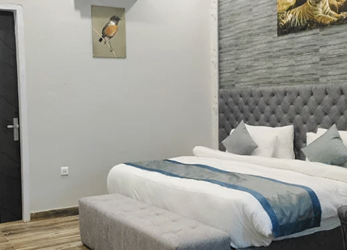 Leopard Lair's Retreat: Where Luxury Meets Natural Splendor
